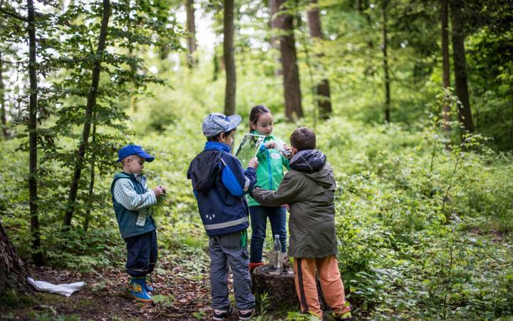 Ecologie scolaire
